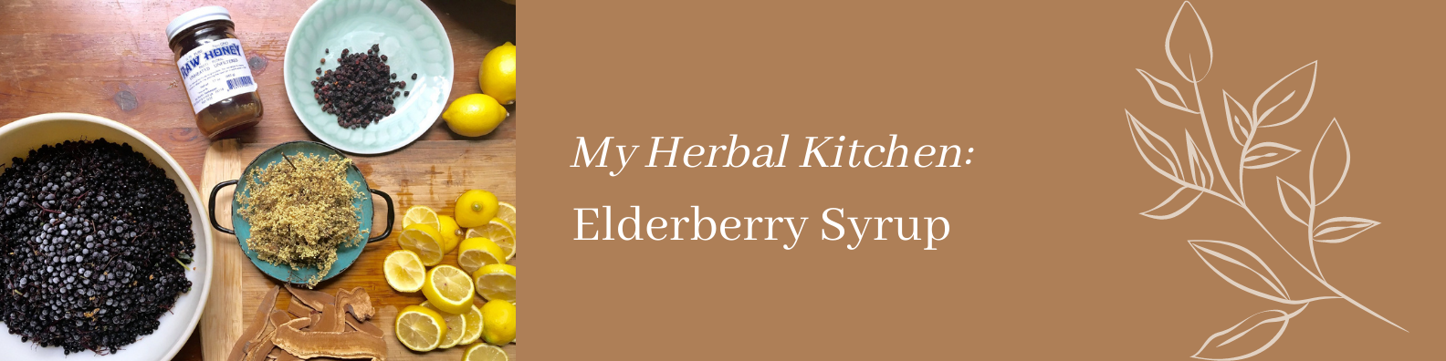 Herbal Kitchen / Elderberry Syrup