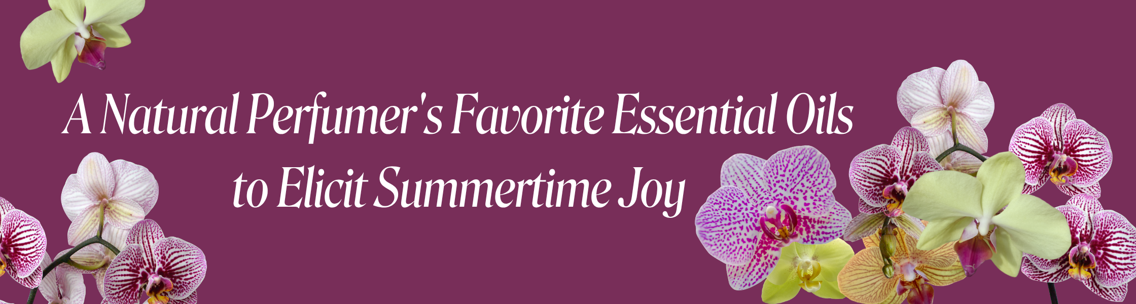 A Natural Perfumer's Favorite Essential Oils to Elicit Summertime Joy