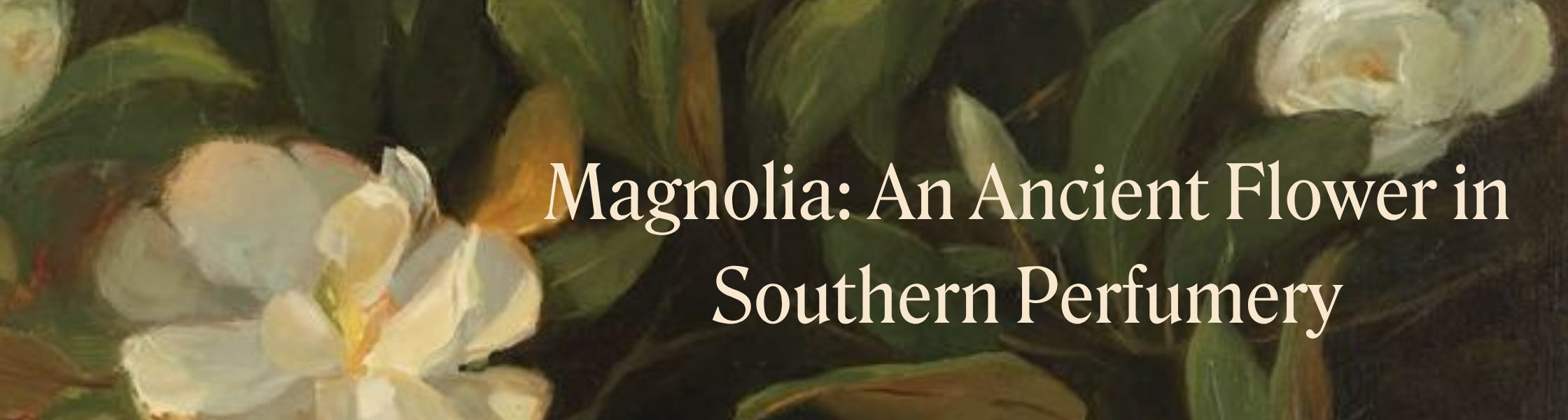 Magnolia: An Ancient Flower in Southern Perfumery