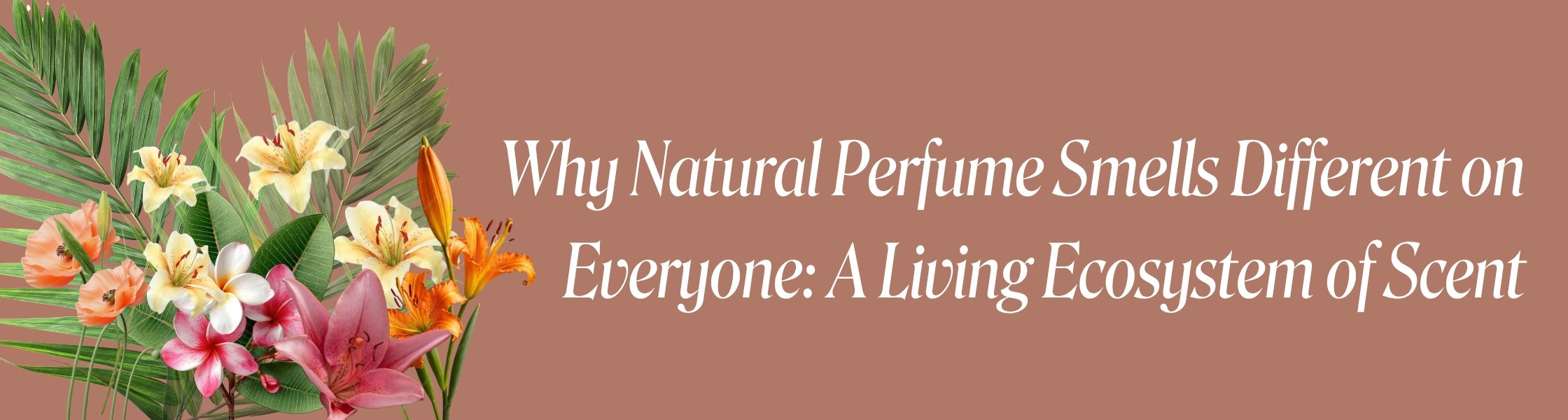 Why Natural Perfume Smells Different on Everyone: A Living Ecosystem of Scent