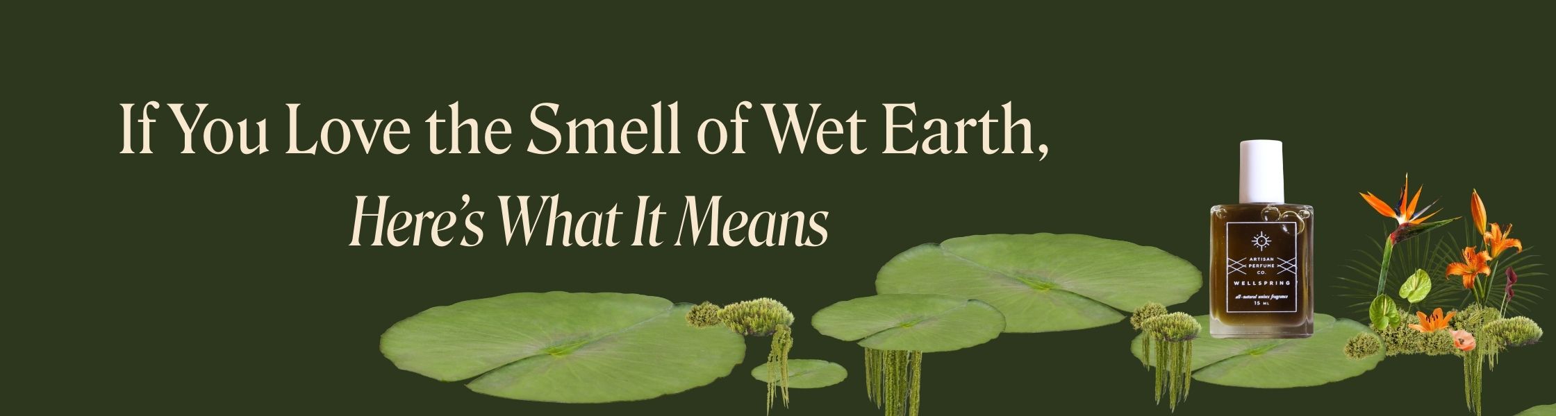 If You Love the Smell of Wet Earth, Here’s What It Means